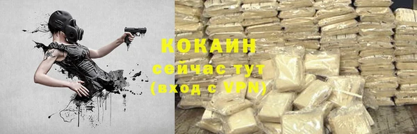 спайс Инта