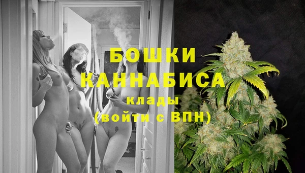 спайс Инта
