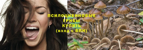 спайс Инта
