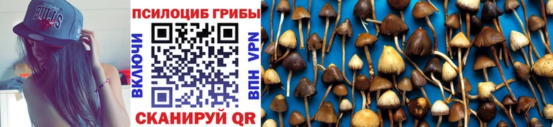 Галлюциногенные грибы мицелий  Купить  Жуковка 